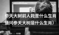 请问在参天大树前所种是哪个生肖的？