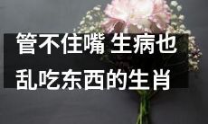 不管自己的饮食习惯，即使生病也忍不住乱吃东西的那些生肖