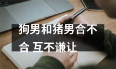 两个男人:一个喜欢狗,一个喜欢猪,他们是否合得来?互不妥协的故事