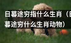 何为日暮途穷及其对应的生肖动物？