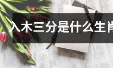 请问入木三分是哪个属相呢？