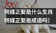 生肖中的明媒正娶指哪一个？明媒正娶是一个成语吗？