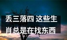 为啥这些生肖总是丢三落四地在找东西？