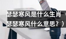 寒风凛冽，你知道它所属的生肖是什么吗？（解读瑟瑟寒风的含义）