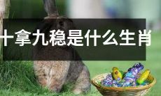 哪些生肖有十拿九稳的成功率？