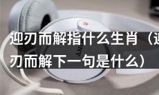 十二生肖中，哪些属相人是“迎刃而解”的？