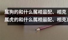 与属狗的人相配和相克的属相是哪些?此时,需要瞄准属狗者和属虎互相匹配的情形,深入探究属虎和其他属相之间的相似和差异,以获取最完整和详实的信息
