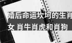 揭秘婚后命途多舛的三大生肖女:肖牛、肖虎和肖狗