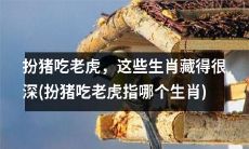 这些生肖像扮猪吃老虎一样隐藏自己的本性和优势特质，你知道哪些是吗？