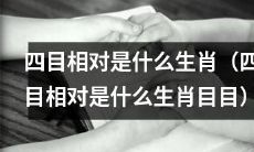 四目相对，到底是哪个生肖呢？（四目相对，究竟代表哪一种生肖？）