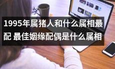 寻找1995年出生的属猪人最佳姻缘:何种属相与之最为配对?