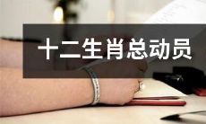 十二生肖大集结:十二种动物的华丽融合!