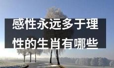 哪些生肖更倾向于感性思维而不是理性思维？