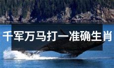 齐射千箭万马奔腾，猜测精准生肖竟出奇迹！