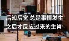 生肖中的后知后觉者：总是在事情发生后才意识到自己的过失或遗憾