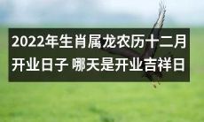 2022年属龙人的农历十二月最佳开业日期是哪一天，以确保好运连连？