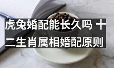 十二生肖属相婚配原则：虎兔婚配是否能够稳定长久？