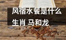 属于哪些生肖的风宿水餐？从风宿水餐与生肖的关联出发，分析并解读风宿水餐对马和龙这两个生肖的影响