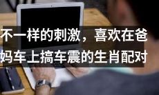 十二生肖中，哪些动物更喜欢在父母的车上体验独特的性刺激——车震？