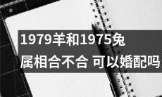 1979年出生的羊和1975年出生的兔,是否符合属相匹配要求?他们是否适合结为终身伴侣?