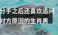 属相男子分手后仍然困扰、不断询问原因的探究——深入了解具体属相男子там знак男性分手后仍不死心、疑问连连的背后根源