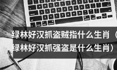 究竟是哪个生肖的绿林好汉在抓捕盗贼？