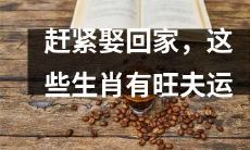 紧急婚姻之事，这些具有旺夫运的生肖值得迅速迎娶为家人