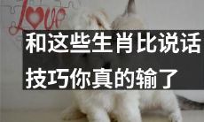 为什么你输给了这些生肖的沟通技巧:如何提升你的说话能力