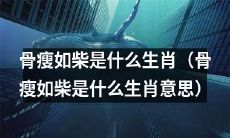 哪个生肖代表“骨瘦如柴”这一意象？
