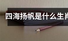 四海扬帆的生肖分类是什么？