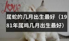 1981年属鸡人，哪个月份生肖属蛇的最佳？