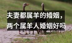 属羊夫妻的婚姻是否更容易破裂？一探两个属羊人的婚姻幸福真相！