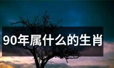 90年出生的人属于哪个生肖？
