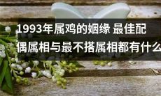 1993属鸡人的最佳配偶属相以及最不搭配的属相是哪些?探究1993年这个属鸡的姻缘配对问题