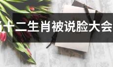 当人们开始谈论十二生肖的脸部轮廓大小时，这将带来怎样的影响？