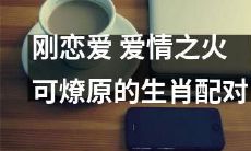 十二生肖中的新恋人,他们的激情之火能够燃烧整个世界的最佳配对
