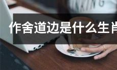 在舍离之道旁边，哪些生肖更容易达到心灵解脱？