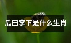 哪些生肖会被认为是在瓜田李下的？