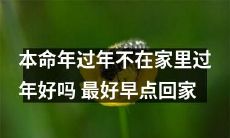 回家过本命年：不在家里过年不好，尽早安排归程吧！
