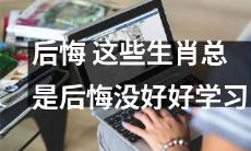 这些生肖总是后悔当初没好好学习造成未来发展不畅的情况