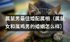 探讨属鼠男最佳婚姻对象：属鼠女和属鸡男的婚姻配对及相性分析