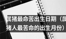 探究属猪人最命苦的出生月份：哪个月份的属猪人最为不利？