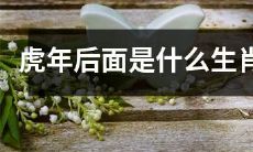 在中国农历中，接下来的几个年份将分别对应哪些生肖？