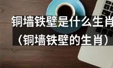 请问铜墙铁壁对应的生肖是什么？