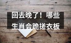 哪些生肖会因回家太晚而被惩罚，被迫拜倒在满是泡沫和污渍的搓衣板前？
