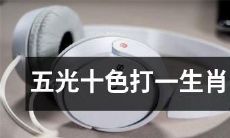 用五彩缤纷的光芒描绘的瑰丽景象，猜猜是哪个生肖？