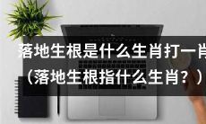 请问落地生根指哪个生肖？