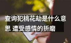 如何查询“犯桃花劫”所指涉的含义并克服由此带来的情感痛苦?