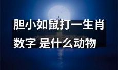 什么动物胆小如鼠，对应于生肖数字的谜题？