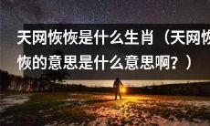 什么生肖符合天网恢恢的内涵及含义？（就天网恢恢的意思解释以及该特征是否与特定生肖相符进行探讨）